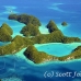 islands_seventy_h_0085_pal2295.jpg
